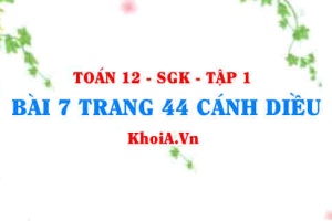 Bài 7 trang 44 Toán 12 tập 1 Cánh Diều